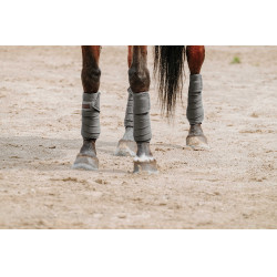 Bandagens de polo Equithème em conjunto de 4 Cinzento