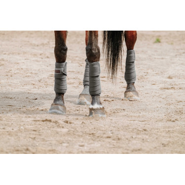 Bandagens de polo Equithème em conjunto de 4 Cinzento
