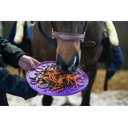 Tapete para lamber LIKIT Graze Maze Violeta