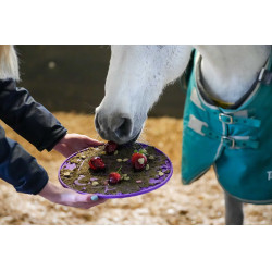 Tapete para lamber LIKIT Graze Maze Violeta