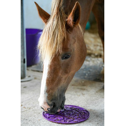 Tapete para lamber LIKIT Graze Maze Violeta