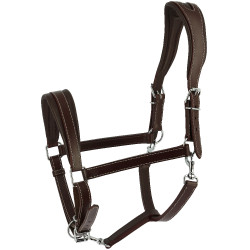 Caveção Ardennais Norton Havana Castanho