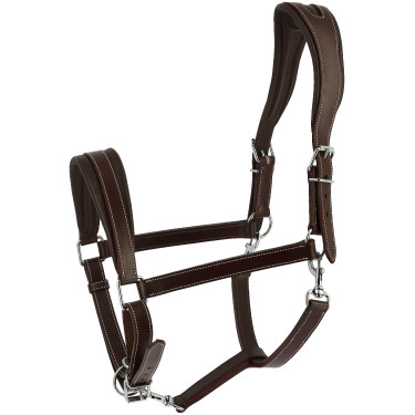 Caveção Ardennais Norton Havana Castanho