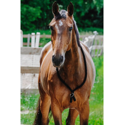 Cordinha Norton Preto Cordinha Norton Preto