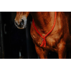 Cordinha Norton Vermelho