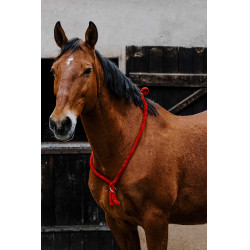 Cordinha Norton Vermelho