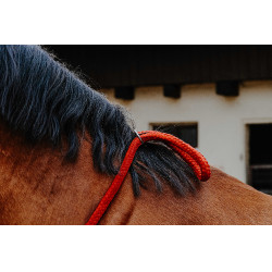 Cordinha Norton Vermelho