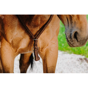 Cordinha Norton Castanho