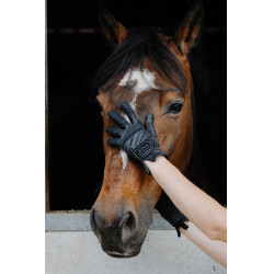 Luvas Je t'aime Equithème Strass Preto