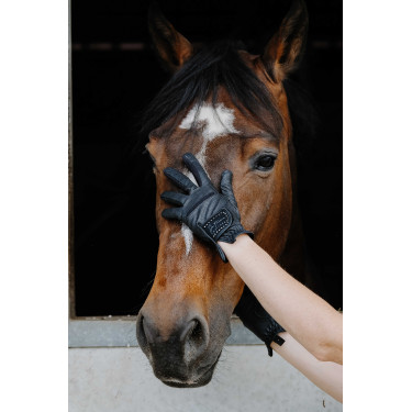 Luvas Je t'aime Equithème Strass Preto