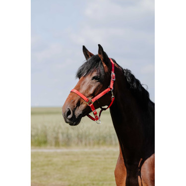Almofada de Cabresto Riding World Vermelho Almofada de Cabresto Riding World Vermelho
