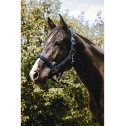 Caveção de nylon Equithème Protector Marinho Azul-marinho
