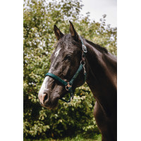 Caveção de nylon Equithème Protector Verde