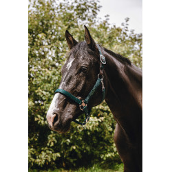 Caveção de nylon Equithème Protector Verde