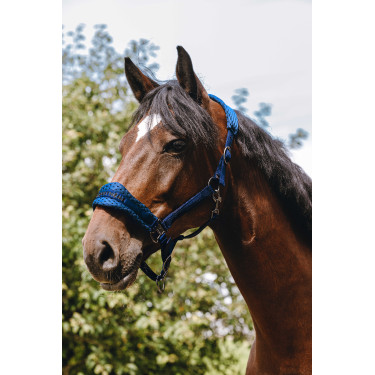 Cabresto de nylon Equithème 3D Mesh Azul royal