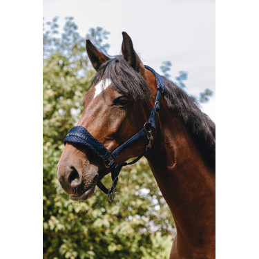 Cabresto de nylon Equithème 3D Mesh Marinho Azul-marinho