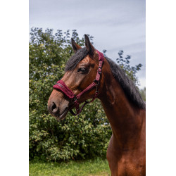 Cabresto de nylon Equithème 3D Mesh Bordéus Bordô Cabresto de nylon Equithème 3D Mesh Bordéus Bordô