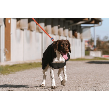 Capa para cão Equithème Softshell Preto Capa para cão Equithème Softshell Preto