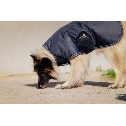 Capa para cão Equithème TYREX 600D Azul / cinza