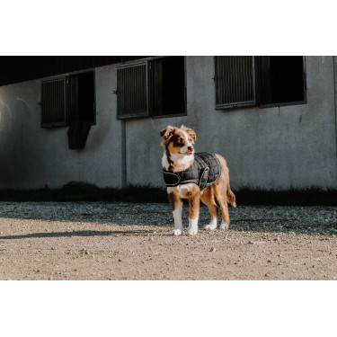Cobertura para cão Je t'aime Equithème Preto Cobertura para cão Je t'aime Equithème Preto