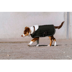 Cobertura para cão Je t'aime Equithème Preto Cobertura para cão Je t'aime Equithème Preto