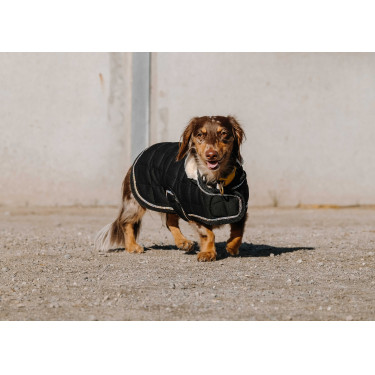 Cobertura para cão Je t'aime Equithème Preto Cobertura para cão Je t'aime Equithème Preto