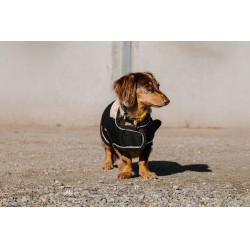 Cobertura para cão Je t'aime Equithème Preto Cobertura para cão Je t'aime Equithème Preto