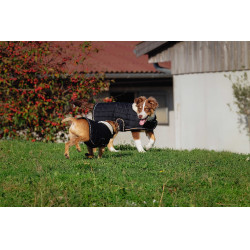 Cobertura para cão Je t'aime Equithème Preto Cobertura para cão Je t'aime Equithème Preto