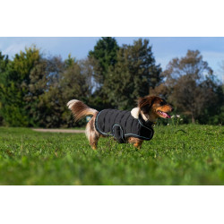 Cobertura para cão Je t'aime Equithème Preto Cobertura para cão Je t'aime Equithème Preto
