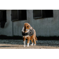 Cobertura para cão Je t'aime Equithème Preto Cobertura para cão Je t'aime Equithème Preto