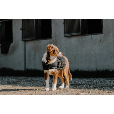 Cobertura para cão Je t'aime Equithème Preto Cobertura para cão Je t'aime Equithème Preto