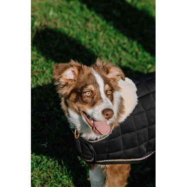 Cobertura para cão Je t'aime Equithème Preto Cobertura para cão Je t'aime Equithème Preto