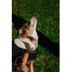 Cobertura para cão Je t'aime Equithème Preto Cobertura para cão Je t'aime Equithème Preto