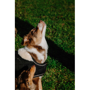 Cobertura para cão Je t'aime Equithème Preto Cobertura para cão Je t'aime Equithème Preto