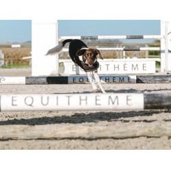 Cobertura para cão Je t'aime Equithème Preto Cobertura para cão Je t'aime Equithème Preto