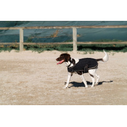 Cobertura para cão Je t'aime Equithème Preto Cobertura para cão Je t'aime Equithème Preto