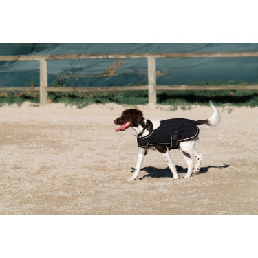 Cobertura para cão Je t'aime Equithème Preto Cobertura para cão Je t'aime Equithème Preto