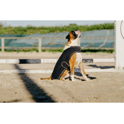 Cobertura para cão Je t'aime Equithème Preto Cobertura para cão Je t'aime Equithème Preto