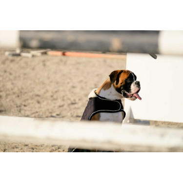 Cobertura para cão Je t'aime Equithème Preto Cobertura para cão Je t'aime Equithème Preto