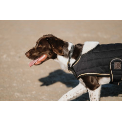Cobertura para cão Je t'aime Equithème Preto Cobertura para cão Je t'aime Equithème Preto