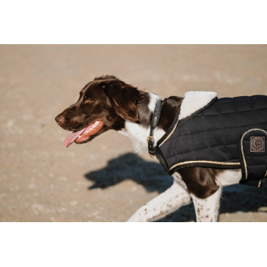 Cobertura para cão Je t'aime Equithème Preto Cobertura para cão Je t'aime Equithème Preto