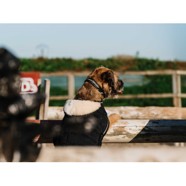 Cobertura para cão Je t'aime Equithème Preto Cobertura para cão Je t'aime Equithème Preto