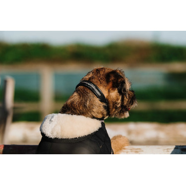 Cobertura para cão Je t'aime Equithème Preto Cobertura para cão Je t'aime Equithème Preto