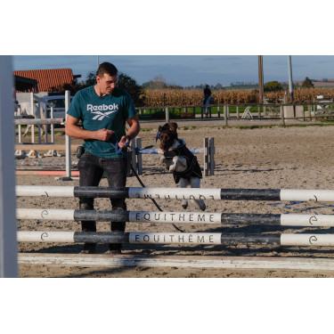 Cobertura para cão Je t'aime Equithème Preto Cobertura para cão Je t'aime Equithème Preto