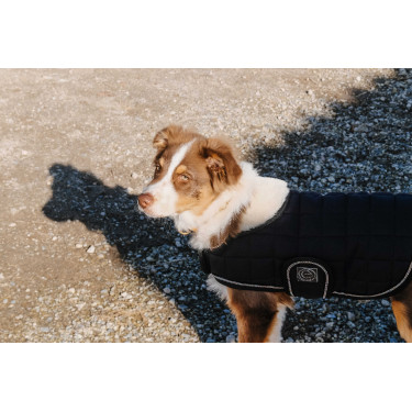 Cobertura para cão Je t'aime Equithème Preto Cobertura para cão Je t'aime Equithème Preto