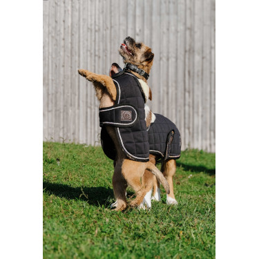 Cobertura para cão Je t'aime Equithème Preto Cobertura para cão Je t'aime Equithème Preto