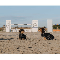 Cobertura para cão Je t'aime Equithème Preto Cobertura para cão Je t'aime Equithème Preto