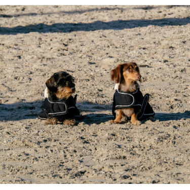 Cobertura para cão Je t'aime Equithème Preto Cobertura para cão Je t'aime Equithème Preto