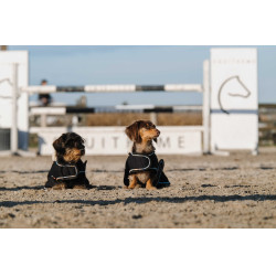 Cobertura para cão Je t'aime Equithème Preto Cobertura para cão Je t'aime Equithème Preto