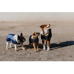 Cobertura para cão Je t'aime Equithème Preto Cobertura para cão Je t'aime Equithème Preto